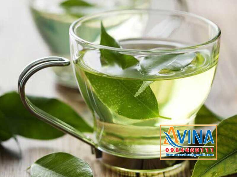 Nước tinh khiết dùng để pha trà xanh