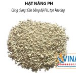 Hạt nâng pH của nước