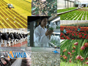 Ứng dụng công nghệ cao trong chiến lược phát triển nông nghiệp nông thôn